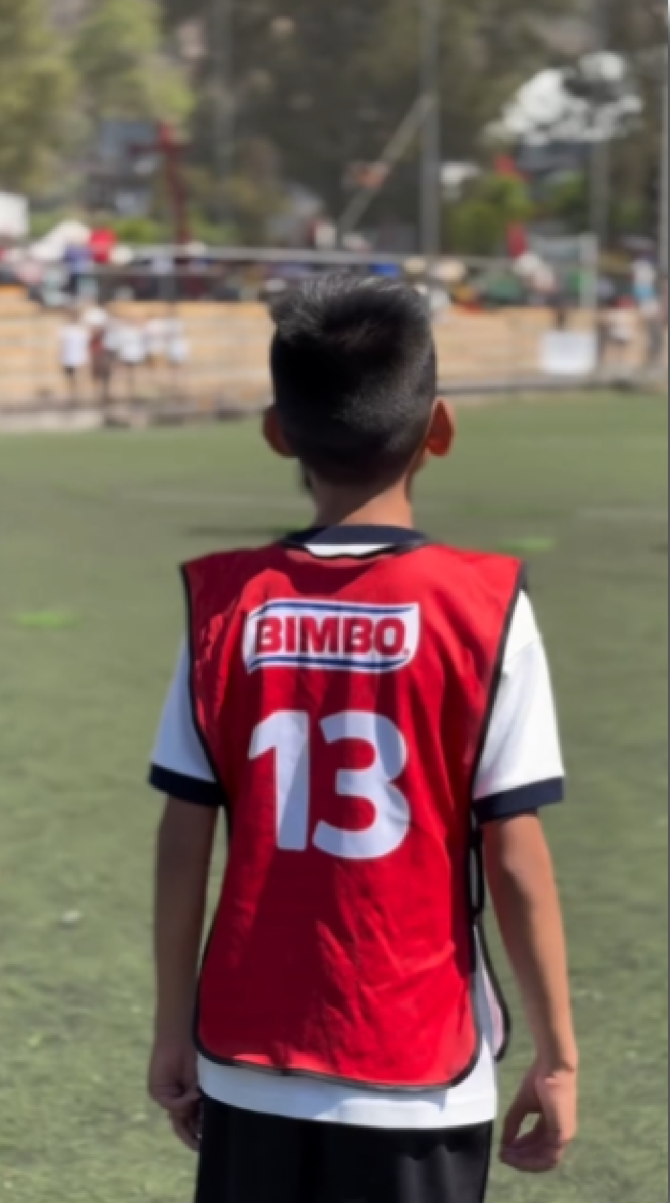 Chalecos Bimbo