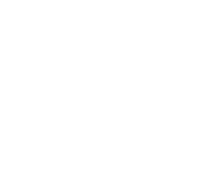 G500-Logo